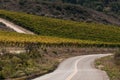 Winding Countty Road By Vineyard Royalty Free Stock Photo
