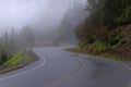 Winding curve road in a foggy forest