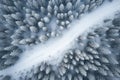 Winding and curvy road in the middle of a snow-covered forest Royalty Free Stock Photo