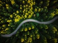 Winding Curvy Road Trough Forest. Aerial Drone Top Down View. Wilderness Royalty Free Stock Photo