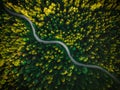 Winding Curvy Road Trough Forest. Aerial Drone Top Down View. Wilderness Landscape Royalty Free Stock Photo