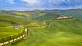 Winding cypress trees aerial Royalty Free Stock Photo