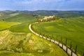 Winding cypress trees aerial Royalty Free Stock Photo