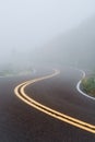 Winding desert road in the fog in vertical format Royalty Free Stock Photo