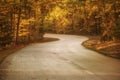 A winding desert road autumn forest. Royalty Free Stock Photo