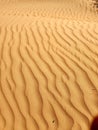 Winding desert sands as symmetrical lines