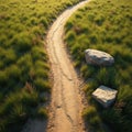 Winding dirt path cuts through vast grassy plain under warm sunlight. Two large rocks sit beside trail, surrounded by verdant Royalty Free Stock Photo