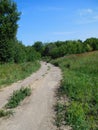 Winding dirt path in a field Royalty Free Stock Photo