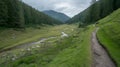 A winding dirt path leads through a lush green valley with a stream Royalty Free Stock Photo