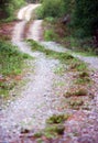 Winding dirt road