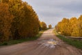 Winding dirt road through the autumn forest. Beautiful autumn landscape Royalty Free Stock Photo