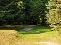 Winding dirt road through the autumn forest Royalty Free Stock Photo