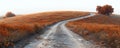 Winding dirt road through golden fields Royalty Free Stock Photo