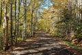 A winding dirt road through the hills of Cape Breton on a fall day in a remote rural area Royalty Free Stock Photo