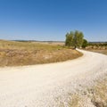 Winding dirt road in Italy