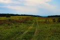 Winding dirt road in the meadow. Twisting path. Pathway on a green field. Trails on a grassland Royalty Free Stock Photo