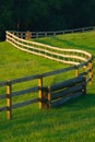 Winding Fence In flower filled meadow