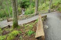 Winding fenced trail Royalty Free Stock Photo