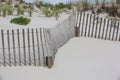 Winding fences and beach grasses Royalty Free Stock Photo