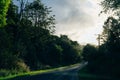 Winding fog road of the Waimea Canyon Drive on Kauai island, Hawaii Royalty Free Stock Photo