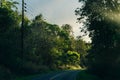 Winding fog road of the Waimea Canyon Drive on Kauai island, Hawaii Royalty Free Stock Photo