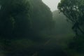 Winding fog road of the Waimea Canyon Drive on Kauai island, Hawaii Royalty Free Stock Photo