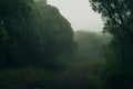 Winding fog road of the Waimea Canyon Drive on Kauai island, Hawaii Royalty Free Stock Photo