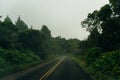 Winding fog road of the Waimea Canyon Drive on Kauai island, Hawaii Royalty Free Stock Photo