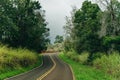 Winding fog road of the Waimea Canyon Drive on Kauai island, Hawaii Royalty Free Stock Photo