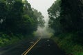 Winding fog road of the Waimea Canyon Drive on Kauai island, Hawaii Royalty Free Stock Photo