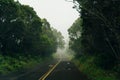 Winding fog road of the Waimea Canyon Drive on Kauai island, Hawaii Royalty Free Stock Photo