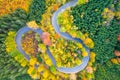 Winding forest asphalt road on colorful autumn day from above