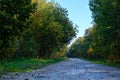 Winding forest dirt road. Autumn in the forest Royalty Free Stock Photo