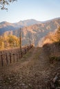 Winding forest path with mountain view in fall Royalty Free Stock Photo