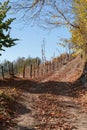 Winding forest path with mountain view in fall Royalty Free Stock Photo