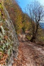 Winding forest path with mountain view in fall Royalty Free Stock Photo