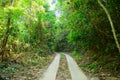 Winding Forest Path Royalty Free Stock Photo