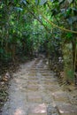 Winding Forest Path Royalty Free Stock Photo