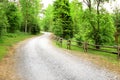 Winding forest road