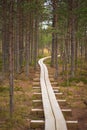 Winding forest wooden path walkway Royalty Free Stock Photo
