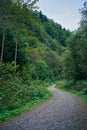 A winding gravel hiking trail in a dense mountain forest in the Bieszczady Mountains in Poland Royalty Free Stock Photo