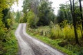 Winding gravel road in a deciduous forest by fall season Royalty Free Stock Photo