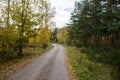 Winding gravel road in golden colors Royalty Free Stock Photo