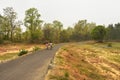 Winding gravel road through temperate forest at Jhargram, west bengal, India Royalty Free Stock Photo