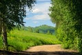 Winding Highland Country Road with Grassy Hillside and Birch Trees along the Road on a Hot Summer Day Royalty Free Stock Photo