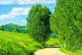 Winding Highland Country Road with Grassy Hillside and Birch Trees along the Road on a Hot Summer Day Royalty Free Stock Photo