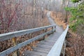Winding hiking trail in forest Royalty Free Stock Photo