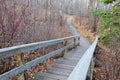 Winding hiking trail in forest