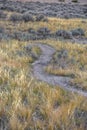 Winding hiking trail on grassy land in Utah Valley Royalty Free Stock Photo