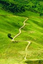 A winding mountain path surrounded by green grass